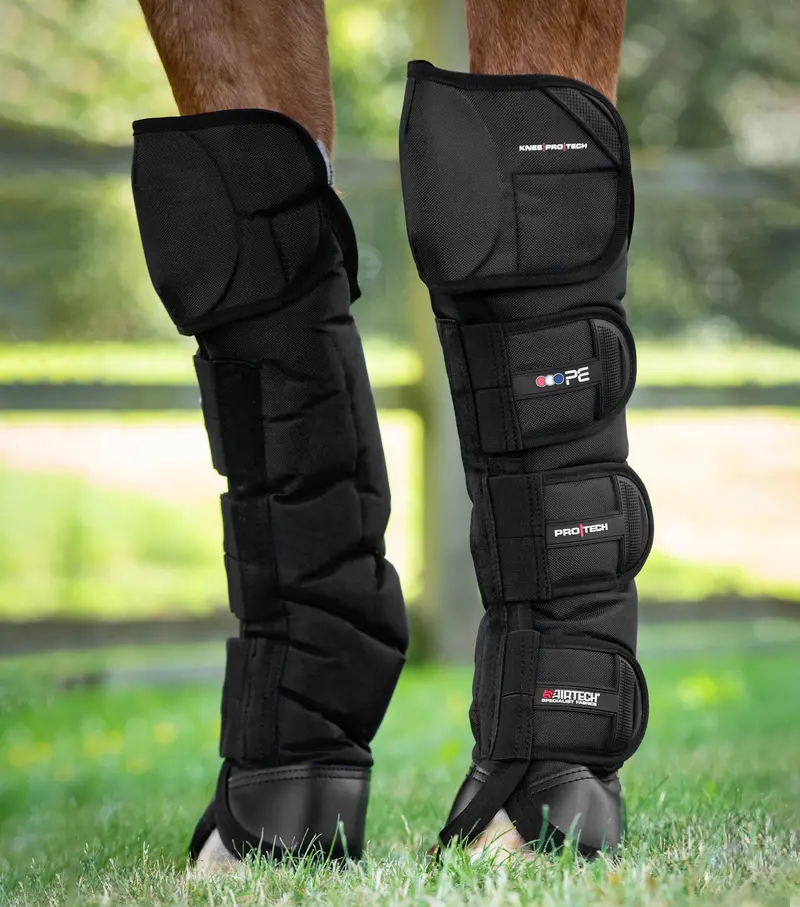Ballistic Knee Pro-Tech Horse Travel Boots Black 1