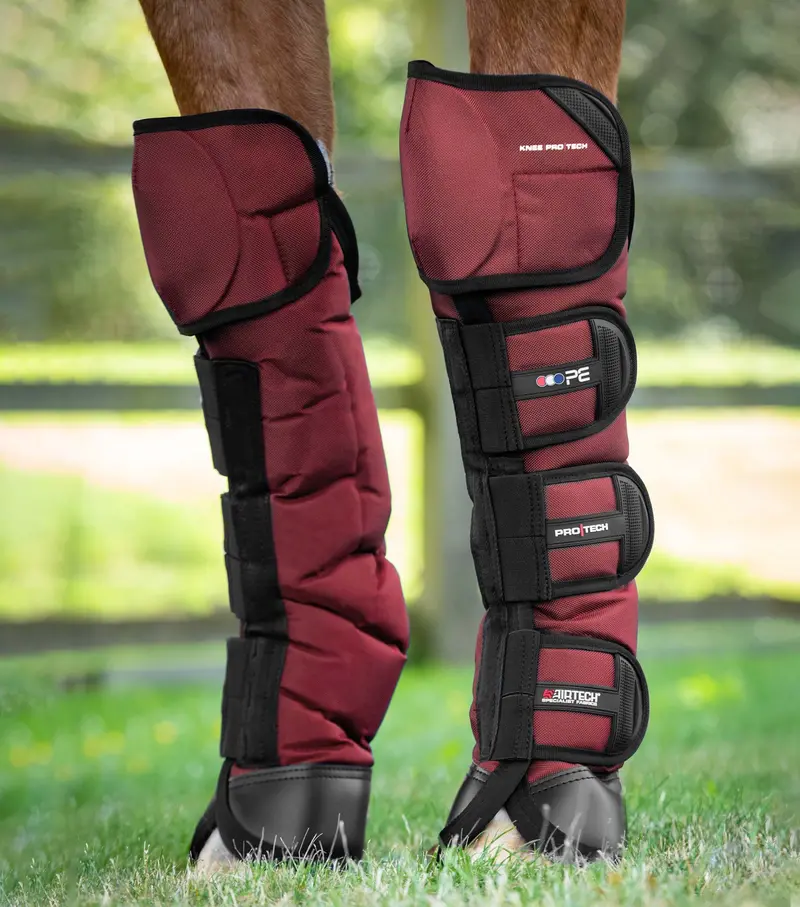 Ballistic Knee Pro-Tech Horse Travel Boots Burgundy 1