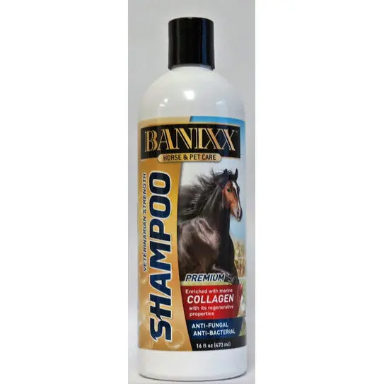 Banixx Anti-Fungal Shampoo 1