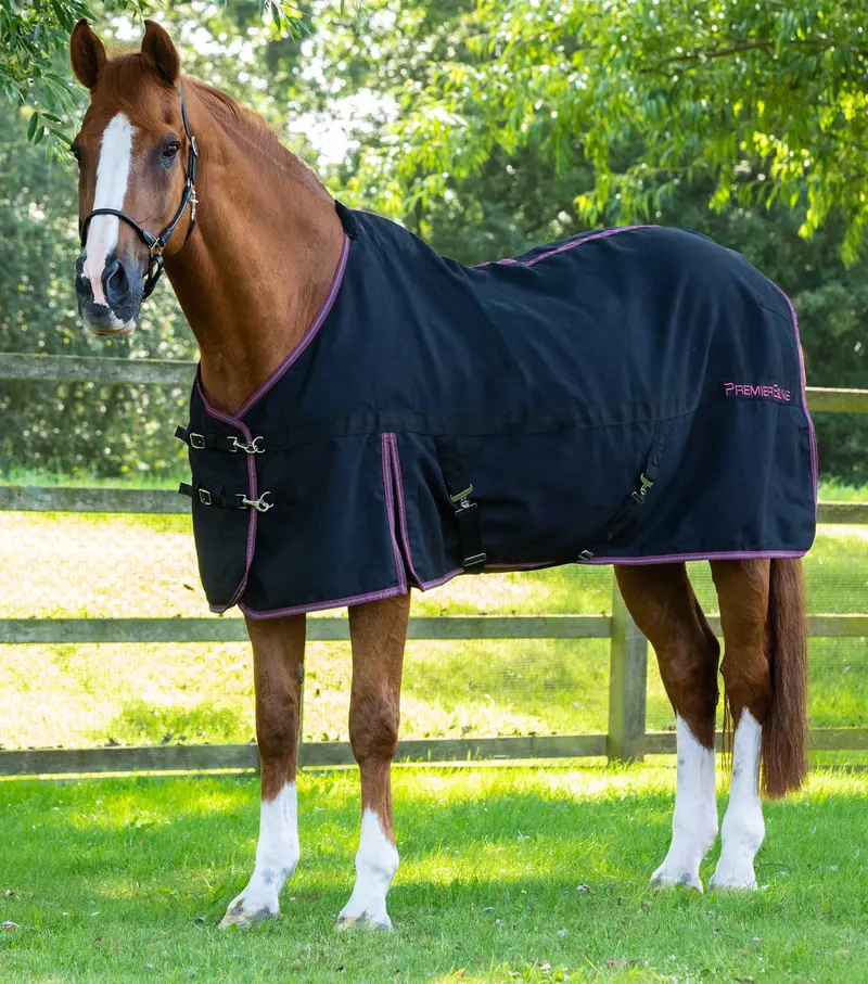 Barrasso Stable Sheet Black 1