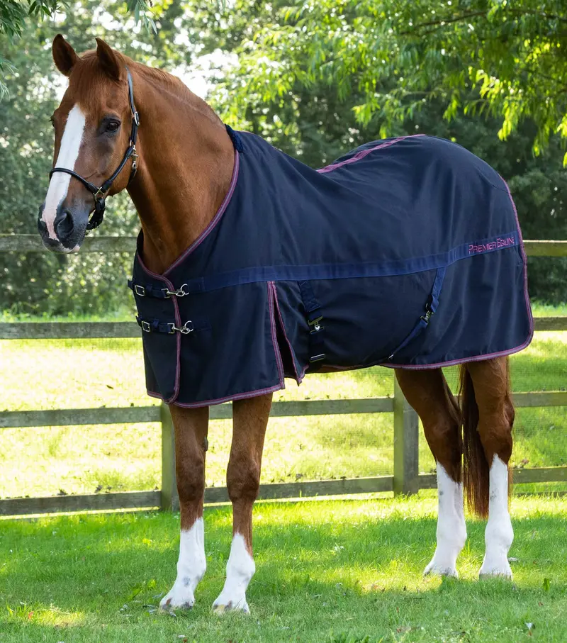 Barrasso Stable Sheet Navy 1