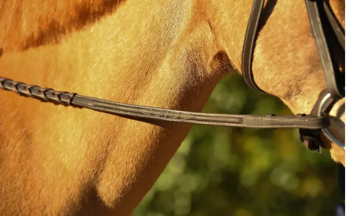 Belle & Bow Laced Reins 1