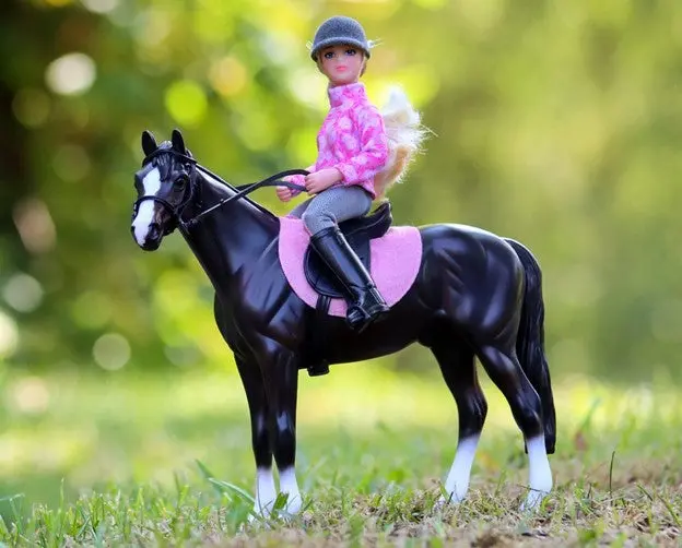 Beyer Logan And English Rider Lauren Set 1