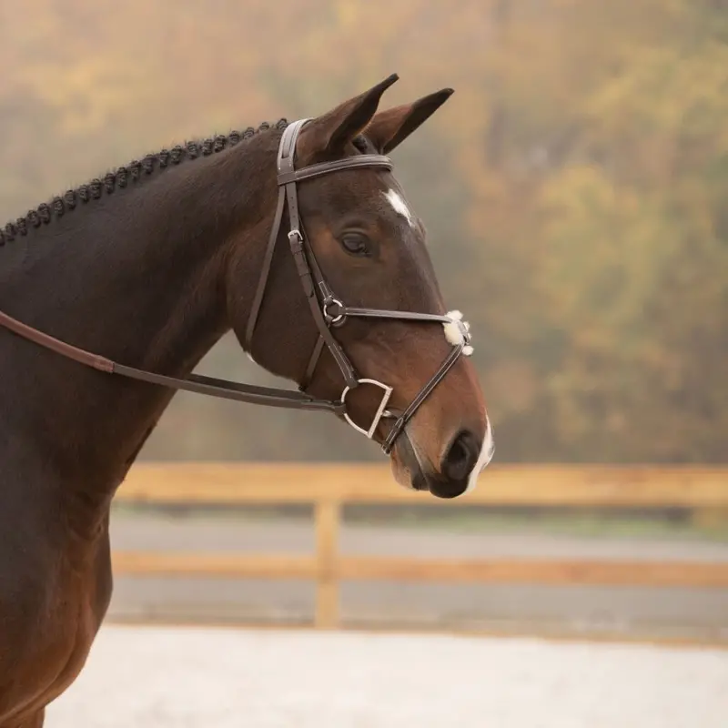 Black Oak Cedar Bridle 1