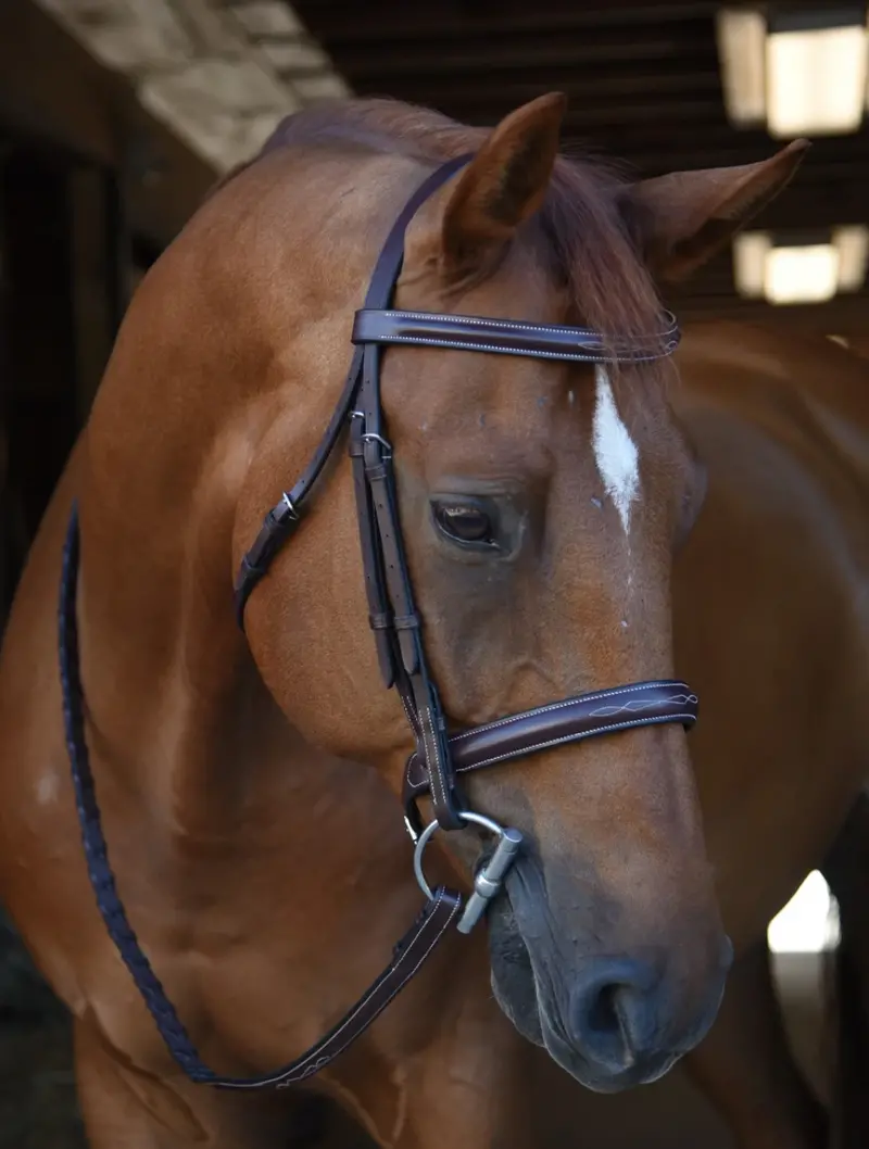 Black Oak Poppy Bridle Fancy Stitched 1