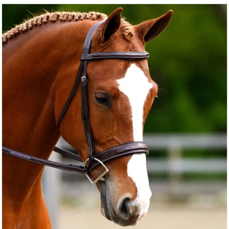 Black Oak Tupelo Hunter Bridle 1