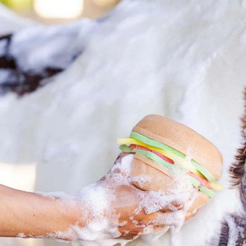 Blue Ribbon Burger Bath Sponge 2