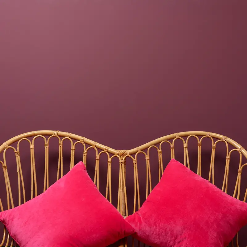 Boho Berry - Peel & Stick Paint Sample 2