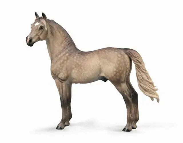 Breyer Collect-A Morgan Stallion - Silver Grulla 1