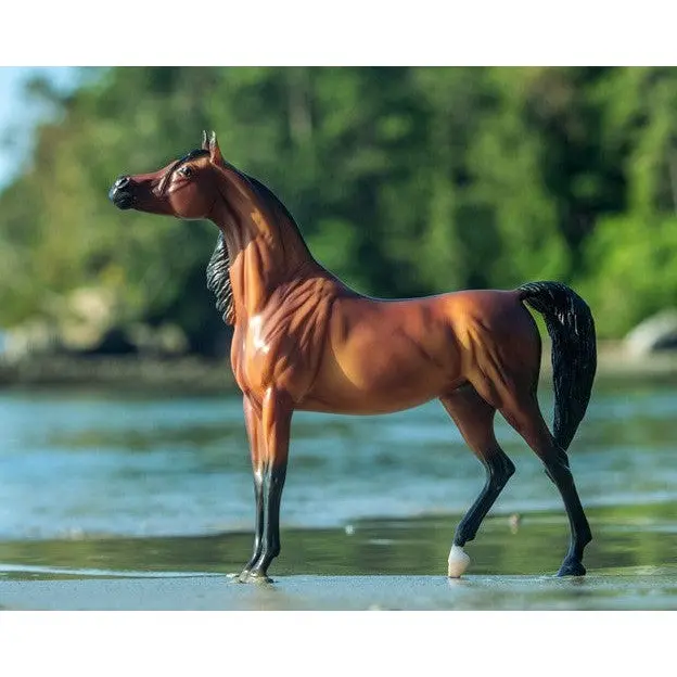 Breyer Horse Rd Marciea Bey Champion Arabian Mare 1