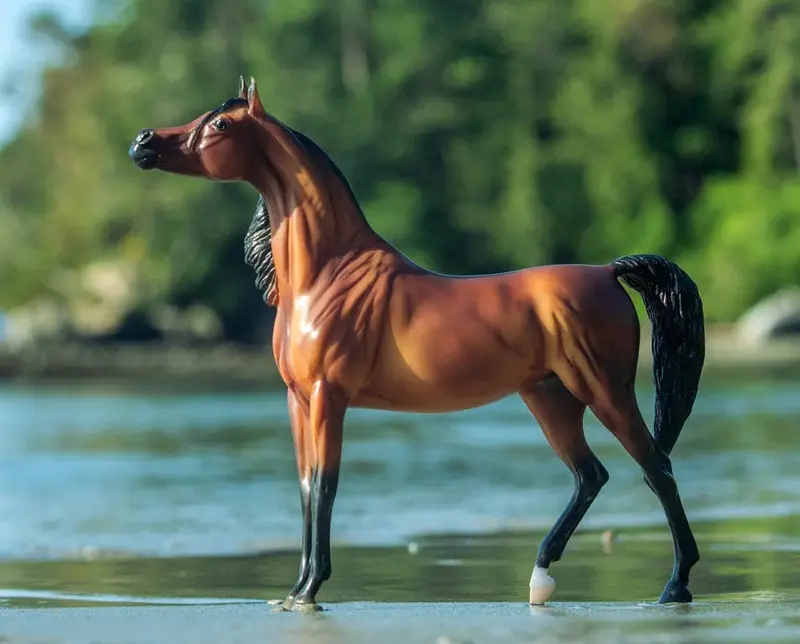 Breyer Rd Marciea Bey Champion Arabian Mare 1