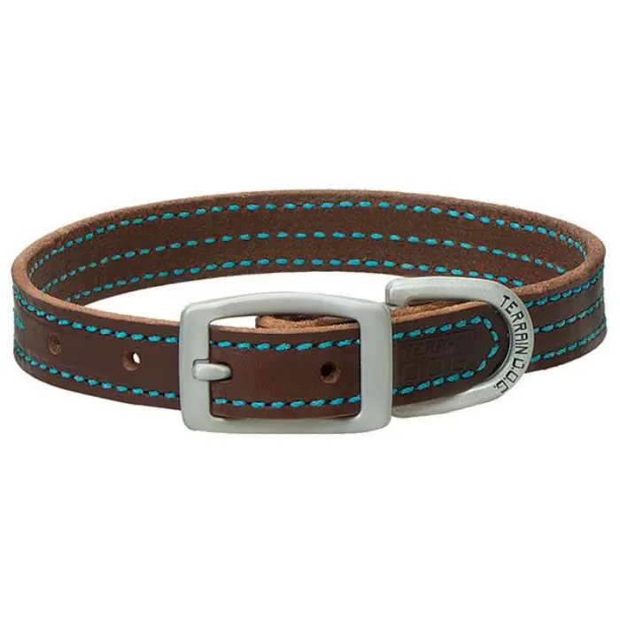 Bridle Leather Dog Collar 1