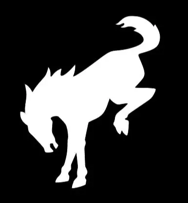Bronco Horse Iron On Heat Transfer Vinyl Htv Decal 4" 6" 8" 10" 12" Ford Multiple Colors 1