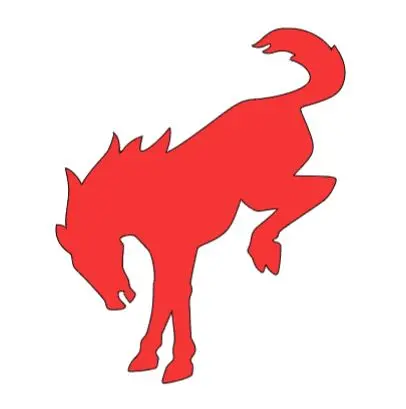 Bronco Horse Iron On Heat Transfer Vinyl Htv Decal 4" 6" 8" 10" 12" Ford Multiple Colors 3