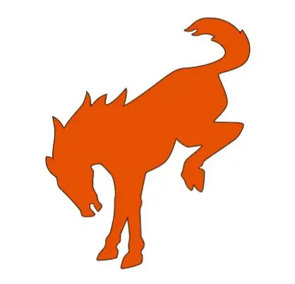 Bronco Horse Iron On Heat Transfer Vinyl Htv Decal 4" 6" 8" 10" 12" Ford Multiple Colors 4