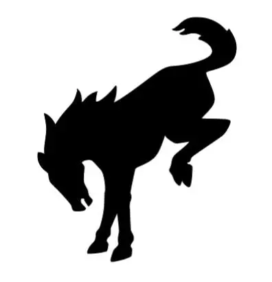 Bronco Horse Iron On Heat Transfer Vinyl Htv Decal 4" 6" 8" 10" 12" Ford Multiple Colors 4