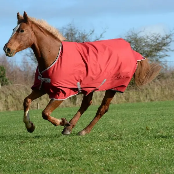 Bucas Freedom Turnout Light 1