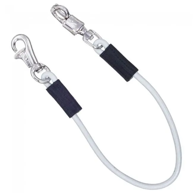 Bungee Trailer Tie 5