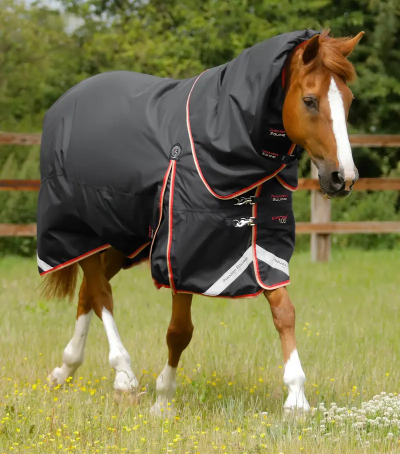 Buster 100G Turnout Rug With Snug-Fit Neck Cover Black 1