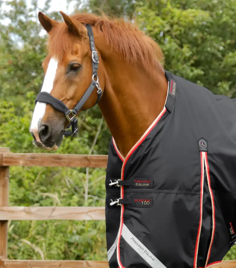 Buster 100G Turnout Rug With Snug-Fit Neck Cover Black 2