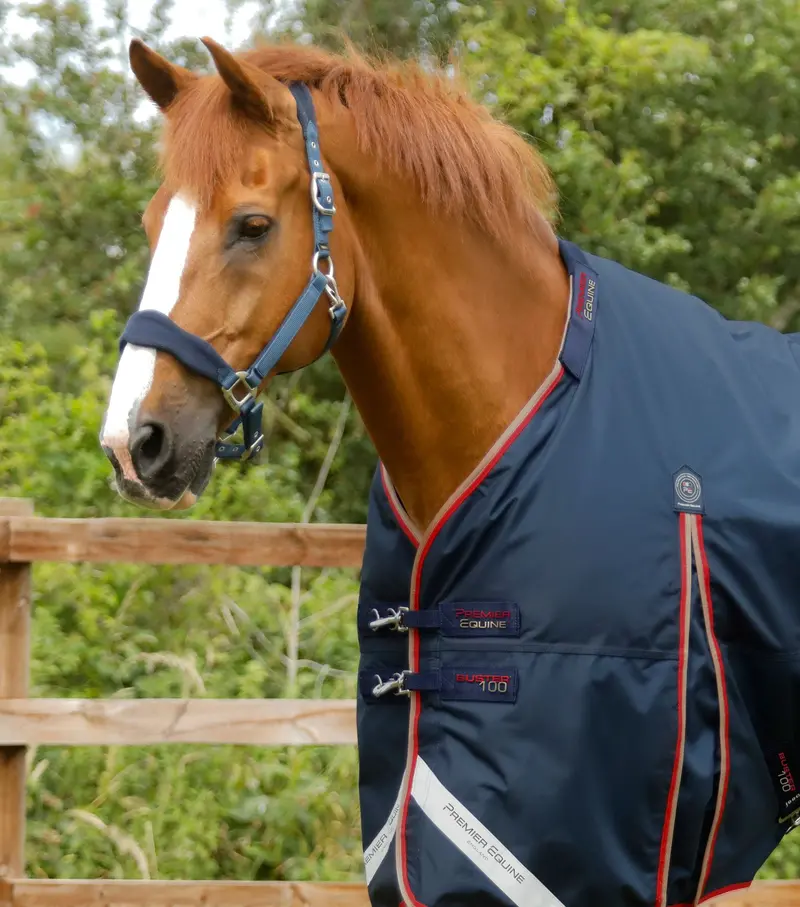 Buster 100G Turnout Rug With Snug-Fit Neck Cover Navy 2