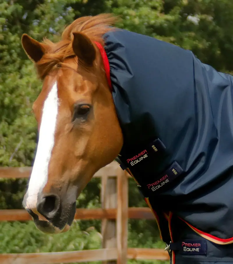 Buster 100G Turnout Rug With Snug-Fit Neck Cover Navy 3