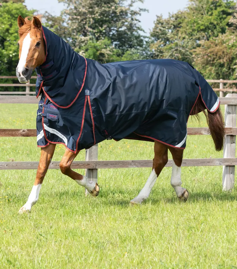 Buster 150G Turnout Rug With Classic Neck Cover Navy 1