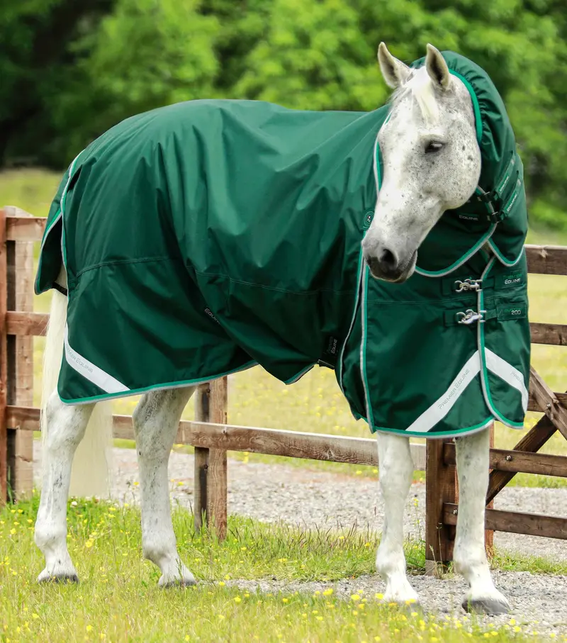 Buster 200G Turnout Rug With Snug-Fit Neck Cover Green 1