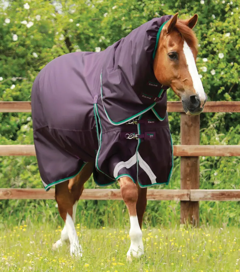 Buster 200G Turnout Rug With Snug-Fit Neck Cover Purple 1