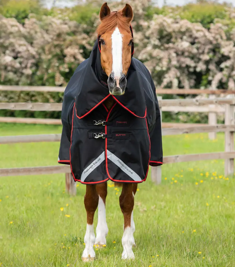 Buster 250G Turnout Rug With Classic Neck Cover Black 2