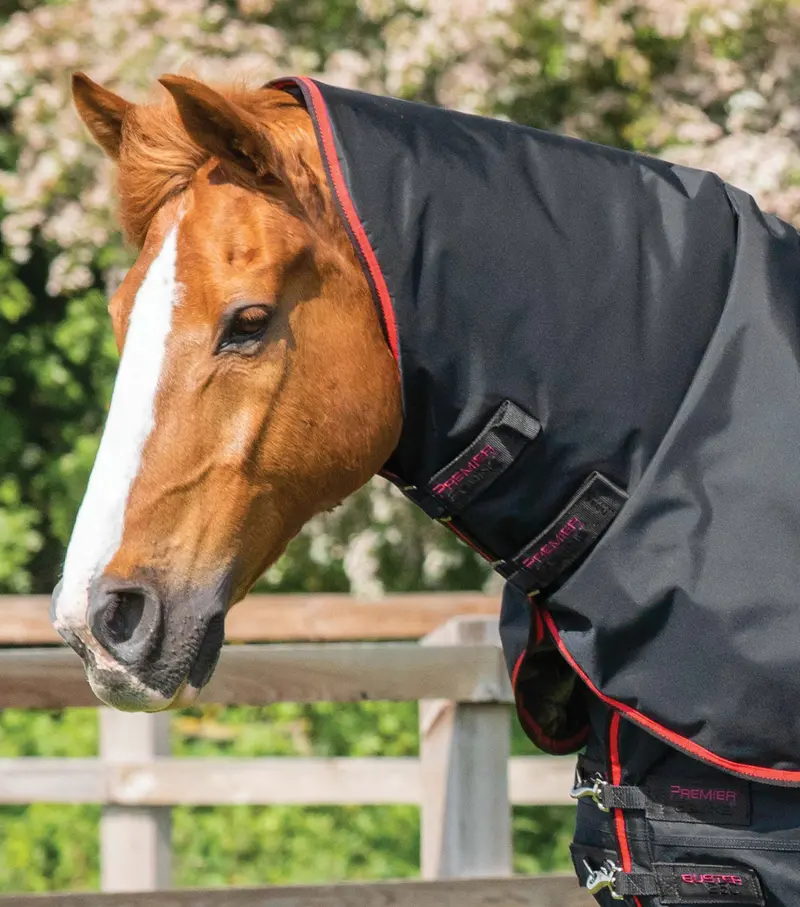 Buster 250G Turnout Rug With Classic Neck Cover Black 3