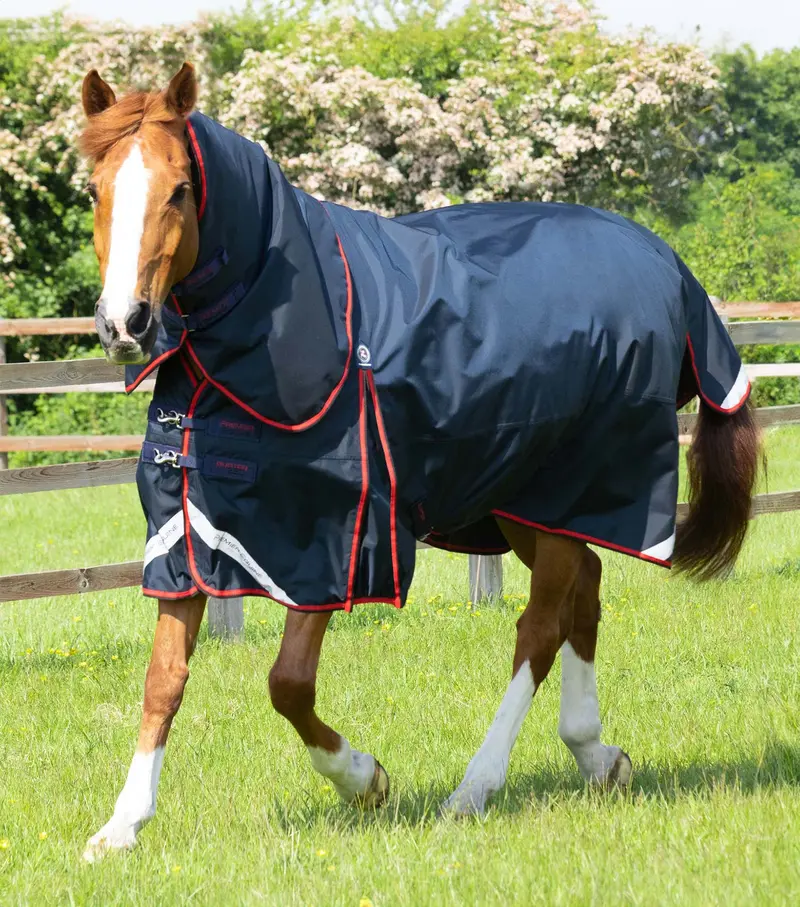Buster 250G Turnout Rug With Classic Neck Cover Navy 1