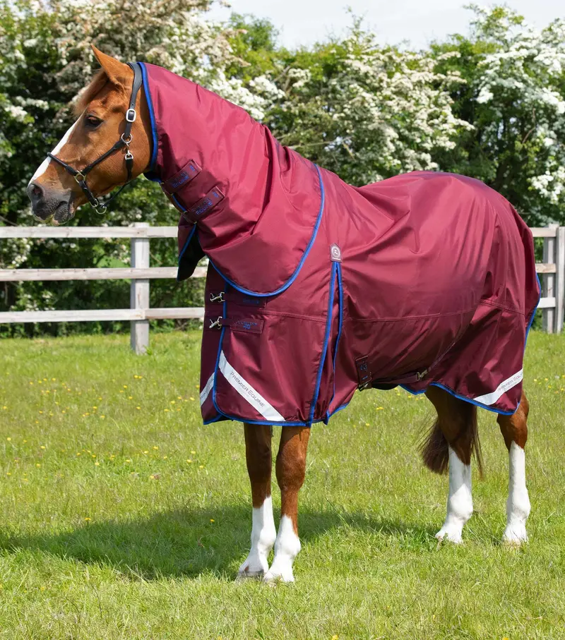 Buster 40G Turnout Rug With Classic Neck Cover Burgundy 1