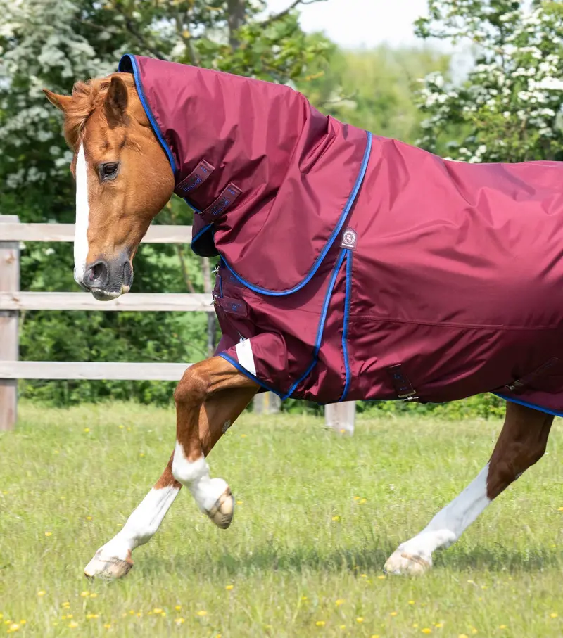 Buster 40G Turnout Rug With Classic Neck Cover Burgundy 2