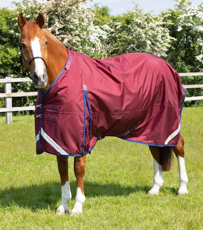 Buster 40G Turnout Rug With Classic Neck Cover Burgundy 3