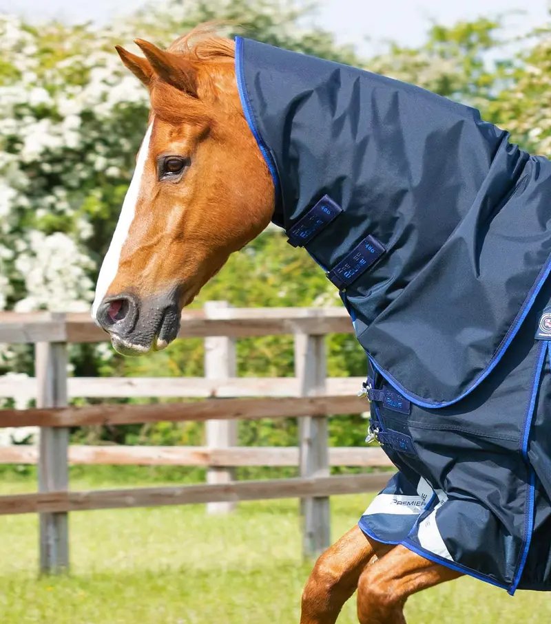 Buster 40G Turnout Rug With Classic Neck Cover Navy 2