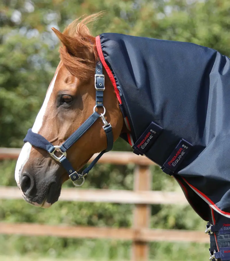 Buster 50G Neck Cover (50G Fill) 1