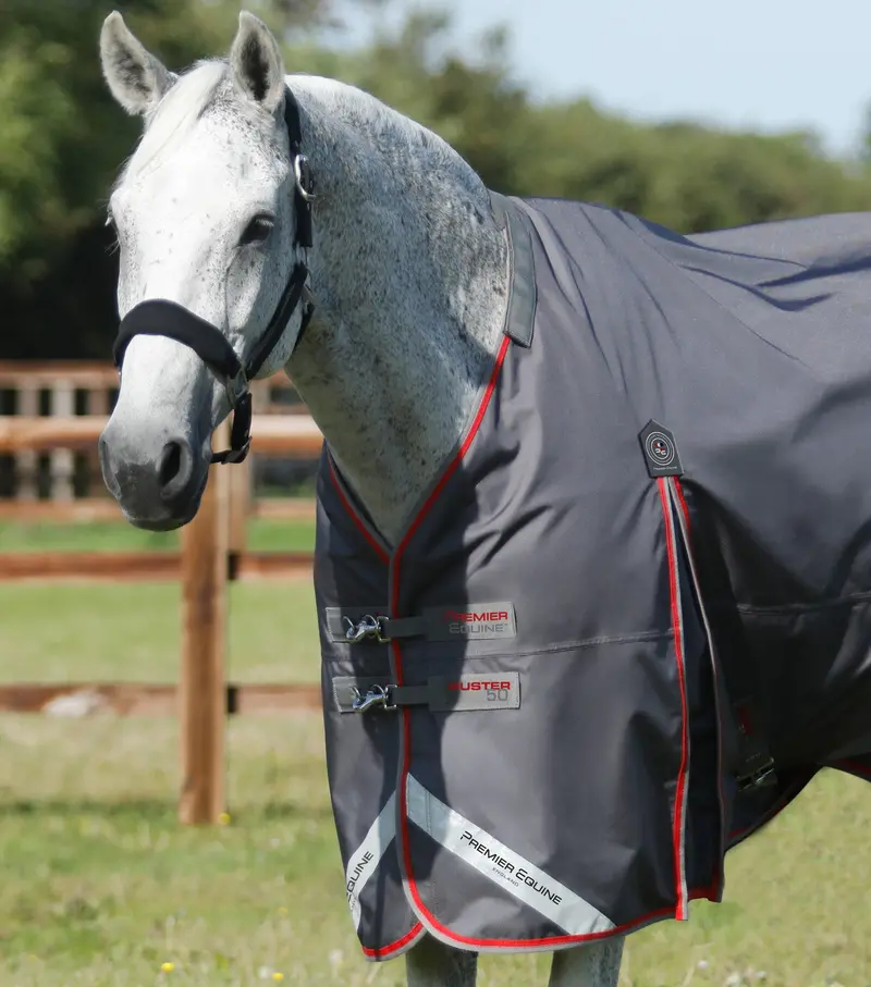 Buster 50G Turnout Rug With Snug-Fit Neck Cover Grey 2