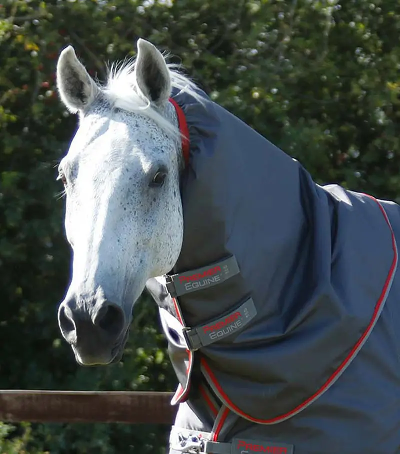 Buster 50G Turnout Rug With Snug-Fit Neck Cover Grey 3