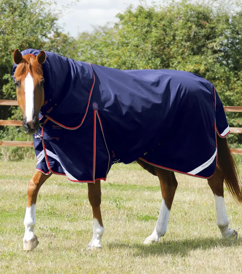 Buster 50G Turnout Rug With Snug-Fit Neck Cover Navy 1