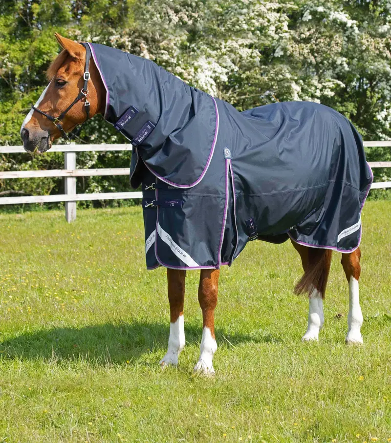 Buster 70G Turnout Rug With Classic Neck Cover Navy 1
