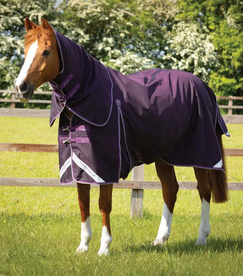 Buster 70G Turnout Rug With Classic Neck Cover Purple 1