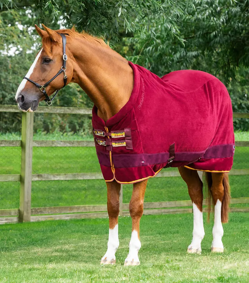 Buster Fleece Cooler Rug - Continental Edition Burgundy 1