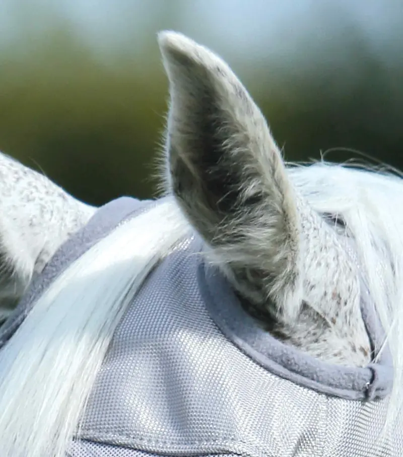 Buster Fly Mask Standard Silver 3