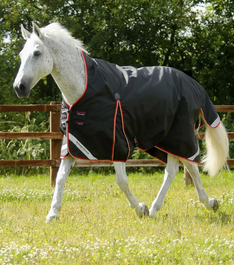 Buster Hardy 100G Half Neck Turnout Rug Black 1