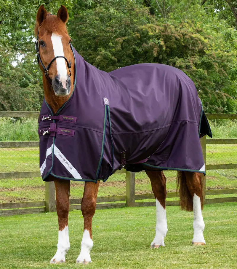 Buster Hardy 100G Half Neck Turnout Rug Purple 1