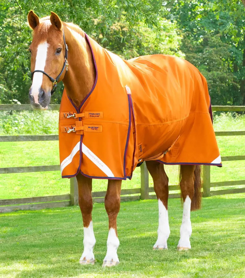 Buster Hardy 200G Half Neck Turnout Rug Burnt Orange 1