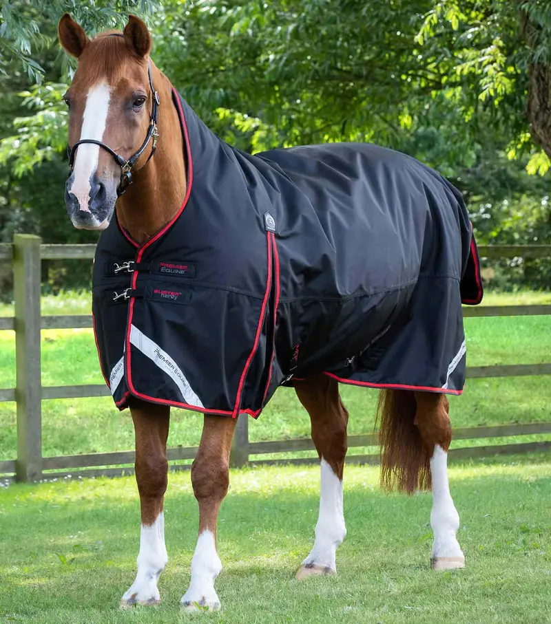 Buster Hardy 400G Half Neck Turnout Rug Black 1