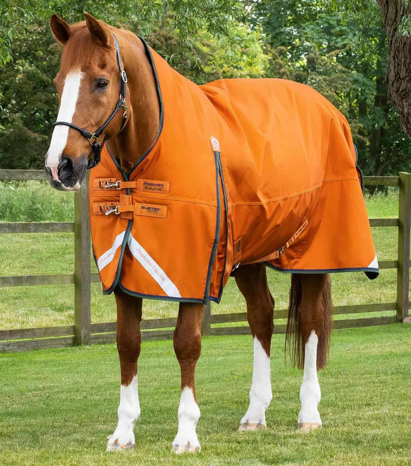 Buster Hardy 400G Half Neck Turnout Rug Burnt Orange 1