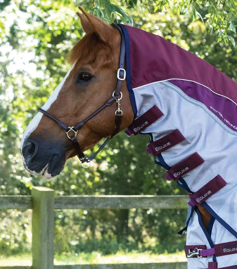Buster Stay-Dry Super Lite Fly Rug With Surcingles Wine 2